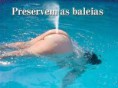 /album/imagens/preserve-as-baleia-jpg/